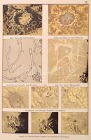 Edmund Weiss: Bilder-Atlas der Sternenwelt: Eine Astronomie fur Jedermann (41 Fein Lithographierte T...