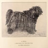 Herman Ottó: A magyar pásztorok nyelvkincse. A magyarok nagy ősfoglalkozása. Természettudományi Köny...