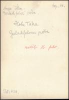 cca 1910 Magas-Tátra, hegymászók a Gerlachfalvi próbán, Erdélyi Mór felvétele, hátulján feliratozva,...