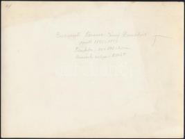 cca 1930 Budapesti Ferenc József híd (Szabadság híd), hátoldalon feliratozott fotó, 17,5×23,5 cm