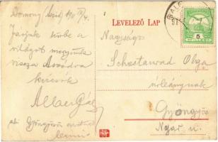 Domony, Segesváry és Domonyi Ödön kastélya (fa)