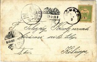 1903 Dömsöd, Hajós villa. Fichner Samu kiadása (r)