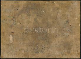 cca 1900 Tibolddaróc (Borsod vm.), Halasy-kúria, keményhátú fotó, feliratozva, 13,5×18,5 cm