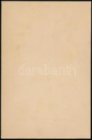 cca 1900 Selmecbánya, a Sóltz-villa Vihnyén, keményhátú fotó, Joerges Á. özv. és fia kiadása, 11×16,...