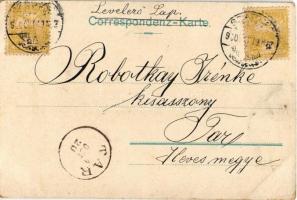 1900 Cegléd, Evangélikus templom, bazár, Városház és takarékpénztár, Református tmeplom és környéke....