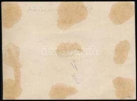 1927 Kemence, fát szállító erdei kisvasút, fotó, hátulján feliratozva, 9×12,5 cm