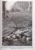 Erich Lessing. 50 Jahre Photographie. Katalog zur Ausstellung Erich Lessing. ALÁÍRT! Wien, 1995, Age...