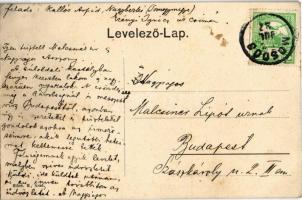 Nagyberki (Posta Mosdós), Erényi Ignác kastélya. Bloch H. kiadása