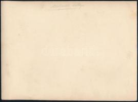 cca 1930 Oláhpatak látképe, fotó, hátulján feliratozva, 17×23 cm