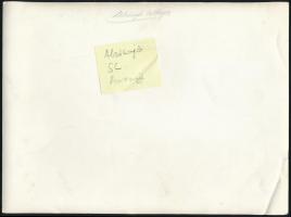 cca 1930 Alsósajó látképe, fotó, hátulján feliratozva, kis törésnyommal, 17×23 cm