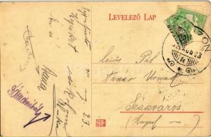 1911 Zajzonfürdő, Zizin; Jancsi villa / villa