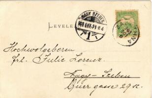 1903 Zalatna, Zlatna; M. kir. kohó-telep. Folberth Vilmos kiadása / forge, smelter, metallurgical pl...