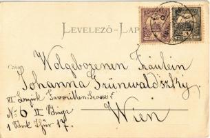 1901 Késmárk, Kezmarok; Evangélikus új templom / new church  (EK)