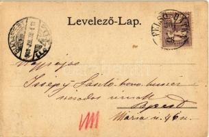 1901 Feled, Veladin, Jesenské; vasútállomás gőzmozdonnyal / railway station, locomotive (EK)