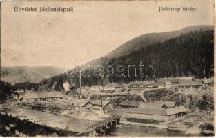 1908 Jósikatelep, Jósikafalva, Béles, Belis; fűrésztelep, iparvasúti híd / sawmill, industrial railway bridge (EK)