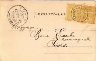 1900 Székelykeresztúr, Cristuru Secuiesc, Kristur; utcakép, üzlet. Kapható Lengyel László kereskedés...