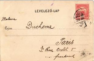 1902 Újvidék, Neusatz, Novi Sad; Püspöki palota, fahasábok. Herger Ágoston levelezőlap kiadóhivatalá...