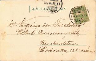 1905 Szabadka, Subotica; piac árusokkal, Szabadkai gazdák és iparosok hitelintézeti részvénytársaság...