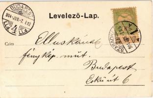 1904 Szabadka, Subotica; Eötvös utca. Vig. Zsigm. Sándor kiadása / street