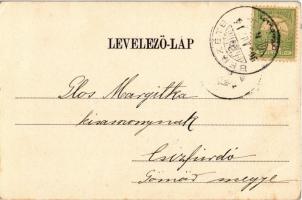 1905 Rozsnyó, Roznava; Rákóczi tér, Falvi Jenő üzlete és saját kiadása / square, shop (EK)