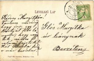 1905 Csízfürdő, Kúpele Cíz; látkép a református templommal. Fogel Mór kiadása Miskolc-Csiz / general...