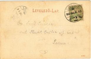 1905 Szolnok, Tisza part, halászbárkák, lakóuszályok. Kiadja Szigeti H. udvari fényképész