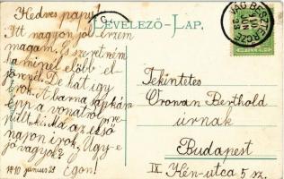 1910 Vágbeszterce, Povazská Bystrica (Tátra); Vág völgye, Fő tér, templom, szobor / Vah valley, main...