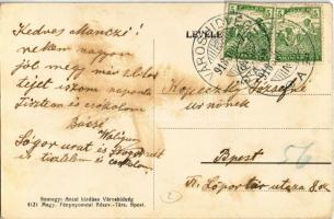 1918 Városhídvég (Szabadhídvég), Kir. erdész lak, utcakép lovaskocsival. Kiadja Somogyi Antal (EK)