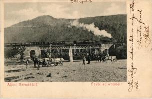 1900 Abos, Obisovce; Hernád híd gőzmozdonnyal, faszállító lovaskocsik / railway bridge over Hornád river, locomotive, horce carts transporting logs