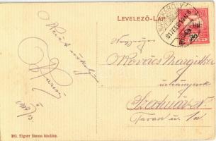 1917 Nagykároly, Carei; Gróf Károlyi kastély, belső. Eigner Simon kiadása / castle interior