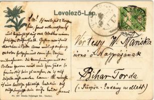 1908 Késmárk, Kezmarok; Thököly vár. Feitzinger Ede No. 687. / castle. Art Nouveau