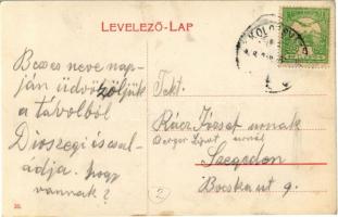 1908 Kolozsvár, Cluj; Wesselényi Miklós utca, Kovács József, Ifj. Buzetzko Domokos üzlete, Pannonia ...