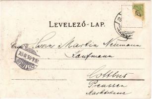 1905 Pöstyén, Piestany, Pistyan; Gyógyterem, Cs. és kir. katonai kórház, Úri utca, népviselet, szobo...