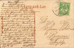 1910 Pöstyén, Piestany, Pistyan; Pávák a fürdőszigeten / peacocks in the spa island