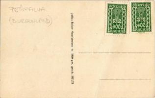 Petőfalva, Pöttelsdorf; utca, templom, erdő, Gőzmalom / Strasse, Kirche, Dampfmühle / street, church...