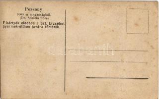 Pozsony, Pressburg, Bratislava; légi felvétel léghajóból 7000 m magasságból (Dr. Schlein Bécs). Segé...