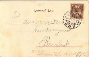 1901 Temesvár, Timisoara; Erőd utca, Hunyadi bástya. Kiadja Polatsek / street view, bastion, castle ...