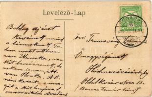 1909 Fogaras, Fagaras; Vármegye közkórháza / county hospital