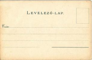 Brassó, Kronstadt, Brasov; Osztrák-magyar bank fiókintézete, park és pavilon. Wilh. Hiemisch / Austr...