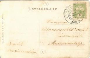 Zernest, Zernyest, Zarnesti; Cellulózgyár. Kunstwerkstätte G. & G. Greiner / cellulose factory (...