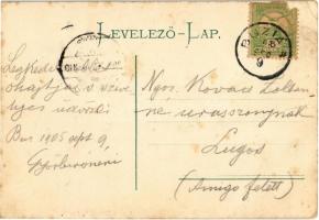 1905 Buziás, Aczél fürdő. Montázs gólyákkal és kisbabákkal. Francz Testvérek kiadása / spa. montage ...