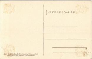 Nagyszeben, Hermannstadt, Sibiu; Brukenthal palota, festmény galéria és könyvtár, üzlet, gyógyszertá...