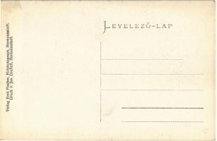 Nagyszeben, Hermannstadt, Sibiu; Villamos viadukt az Erlen parkban. Jos. Drotleff és Emil Fischer ki...