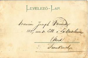 1905 Nagykikinda, Kikinda; Állami Polgári leányiskola. Wolf Józsefné kiadása / girl school. TCV card...