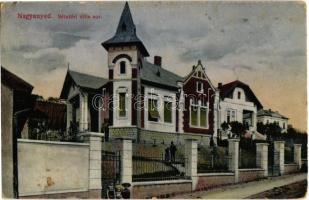 Nagyenyed, Aiud; Sétatéri villa sor / villas next to the promenade (EK)