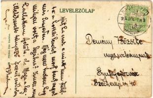 Nagyenyed, Aiud; Sétatéri villa sor / villas next to the promenade (EK)