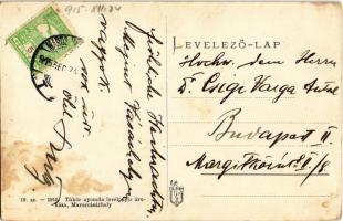 1915 Marosvásárhely, Targu Mures; Hunyady (Bethlen Gábor) utca, háttérben a városi vízmedence. Tükör...