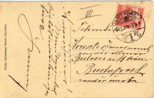 1917 Újverbász, Verbász, Novi Vrbas; Hungária kendergyár. Garamszegi Dezső kiadása / hemp factory