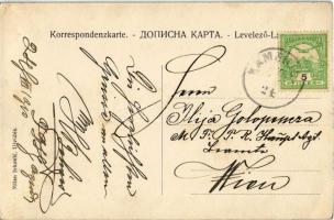 1910 Kamanc, Kamenitz, Sremska Kamenice (Újvidék, Novi Sad); Duna part / Dunaj riverside