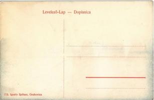 Raholca, Orahovica; Mihanovic kastély. Ignatz Spitzer 715. / Kurija Mihanovic / castle